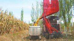 <b>护劳动的决心</b>